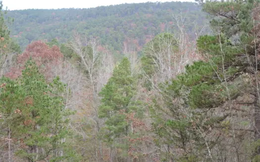 Hunting Land For Sale In The Ouachita National Forest