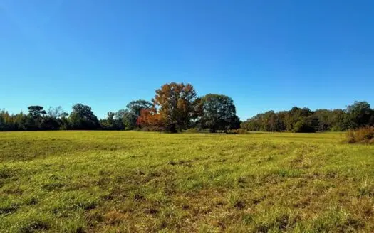 Rural Pastureland in Pike County MS