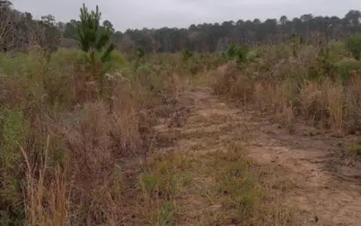 66.5 Acres Amite County MS joins the Homochitto National Forest