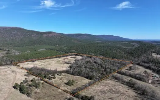 Country Acreage – Homestead Property – Adjoining National Forest