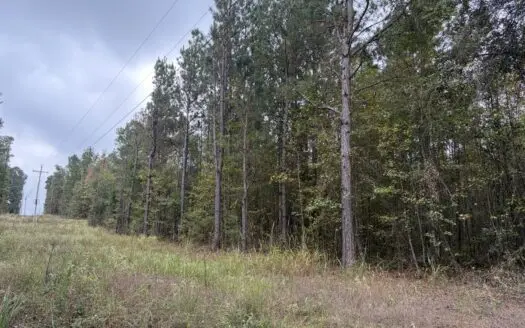 10.5+/- Wooded Acres on MC 35– Prime Land with Power Available !!