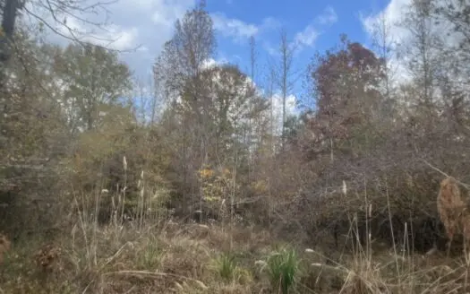 Union County Timberland for Sale