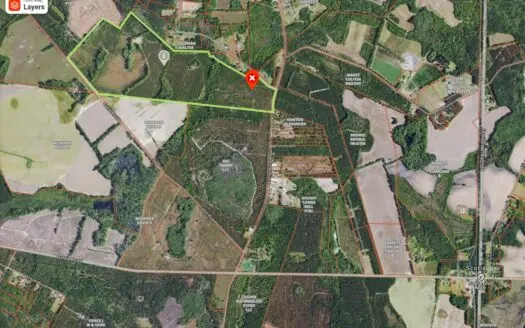 Prime Timber and Hunting Property , South Carolina