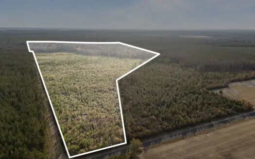 52-Acre Timber Investment Tract Near New Bern, NC