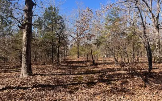 80 Wooded Acre Tract For Sale in the Ozark Mountains