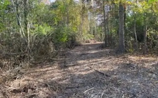 Commercial Acreage For Sale on Hwy 24 W Pike Co MS