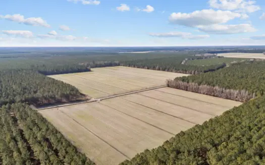 125 Acres of Farmland & Timberland on Tuten Road for Sale