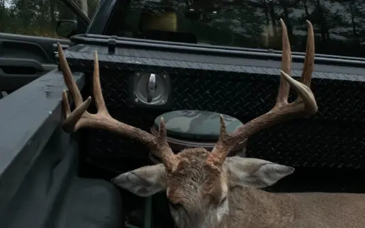 TBD- Tract 4 Cumbie Rd 29.72 Acres – Cumbie Rd, Grady/Decatur Cty