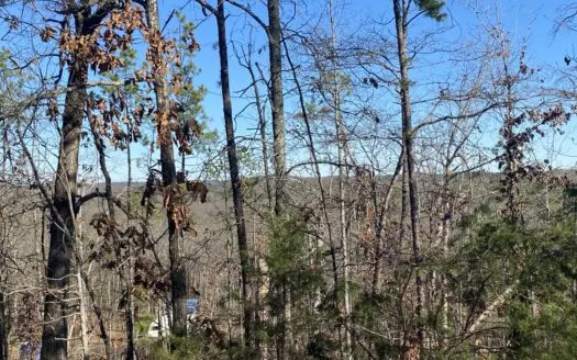 Rural Land For Sale In Arkansas