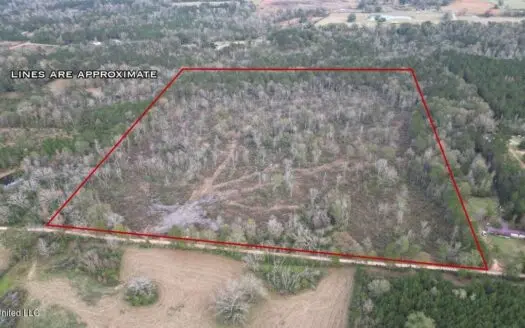 36 Acres in Pike County, Mississippi – Scenic Rural Retreat