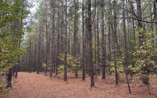 Pine Plantation Property for Sale Dallas County, AR