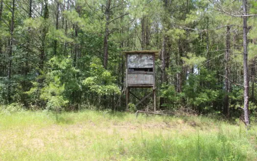 40 Acres of Wooded Land For Sale Lincoln County Mississippi