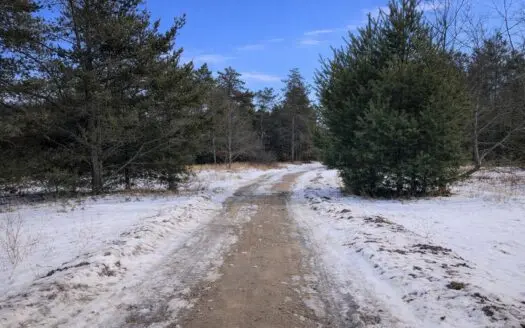 7.9 Buildable Acres (Parcel 3)  for sale in Atlanta MI