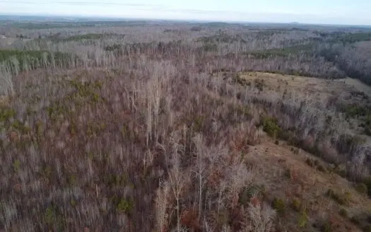 60+ Acre Hunting & Retreat Land near Farmville, VA