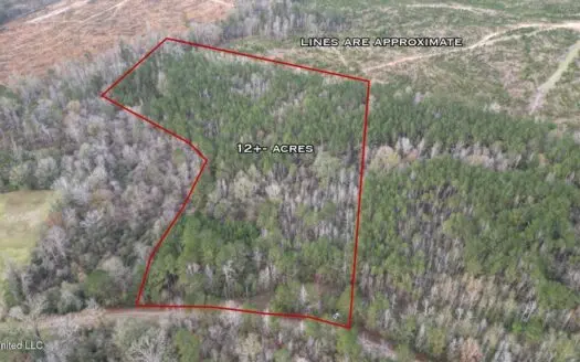 12± Acres in Wesson, Lincoln County, Mississippi