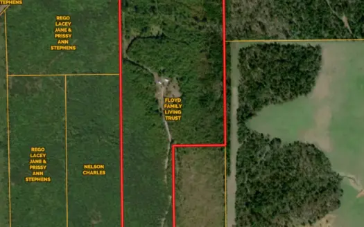 Secluded Recreational Paradise – ±37.19 Acres of Pine Timber