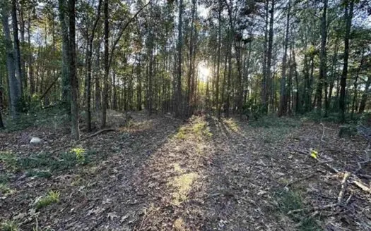 Land For Sale in Gilmer, Texas
