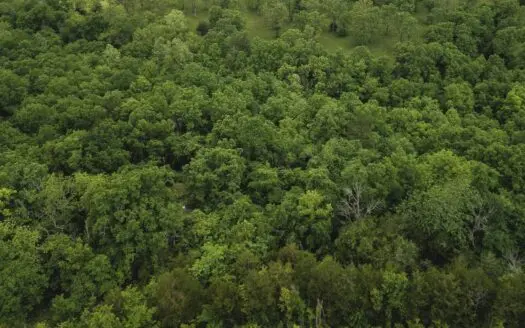 Rual Southern Missouri Land For Sale