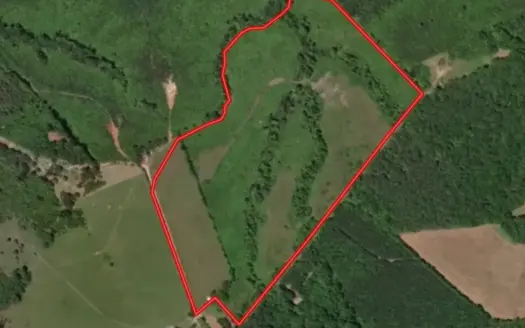 60+ Acre Hunting & Retreat Land near Farmville, VA