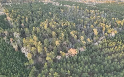 Timberland Property for Sale in Union County, AR