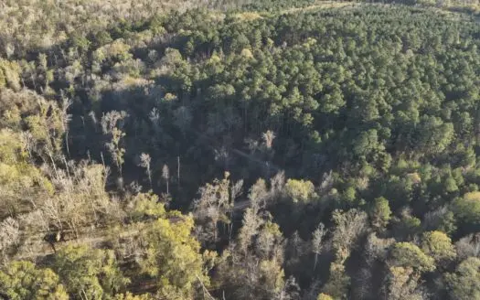 Timberland Property in Locust Bayou for Sale