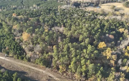 Timberland InvestmentProperty for Sale!