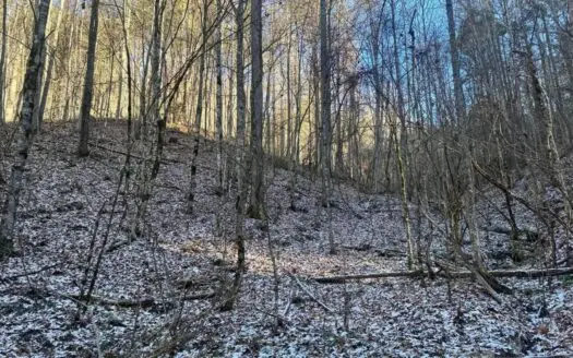 32 Acres For Sale in Unicoi County, Tennessee