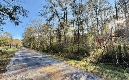 10 Acres Wooded Homesite & Hunting Tract in Smithdale, MS