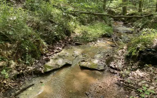 Land For Sale In Tn, 15 Acres+/-, Wooded Land