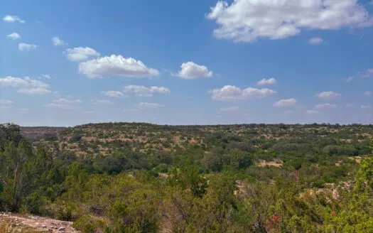 Prime Low-Fence Hunting Tract with High-Impact Wildlife