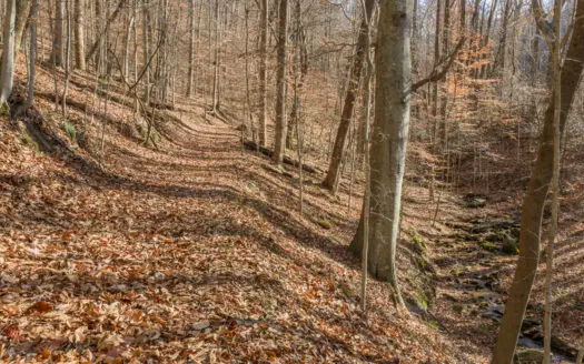 A Hidden Gem in the Brushy Mountains — Moravian Falls, NC
