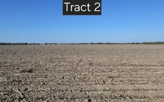 “Land That Turns Dreams Into Reality.”