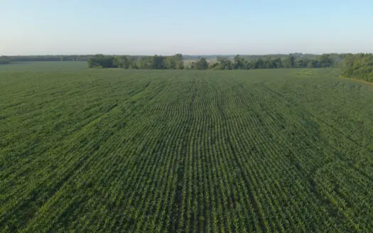 High-Quality Farmland with Strong Income and Excellent Hunting