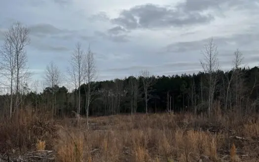 Hunting, Recreation and Residential Land South Carolina For Sale