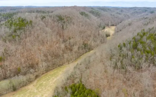 RARE HUNTING OPPORTUNITY: 383.163 +/- Acre Paradise
