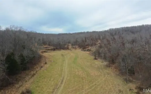 Land with Building Sites for Sale in Salem, Missouri