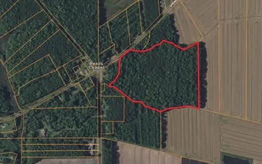 30 Acres Timberland for Sale Near Aurora, NC