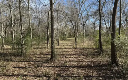 East Texas Hunting/Recreational High Fence Land For Sale