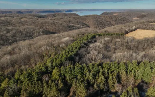 Legacy Blufftop Hunting Retreat Near the Mississippi River