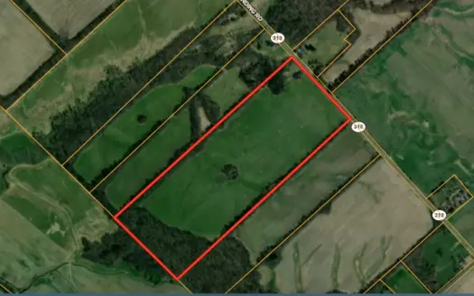 Land Auction in Ballard County, Kentucky Tract #2