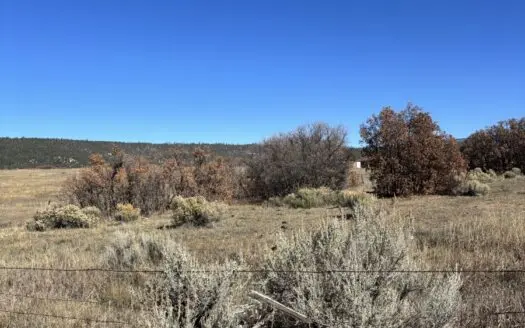 Quiet Mountain Living in Canjilon located in Northern New Mexico