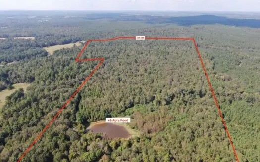 Mineral Rights, Timberland, Hunters Paradise…need I say more?