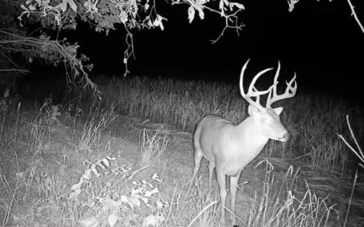 Woodson County Kansas 44± Acres