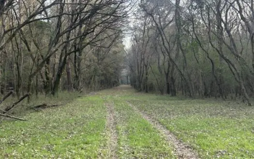 63 Acres for Hunting, Farm & Recreation with Multiple Homesites