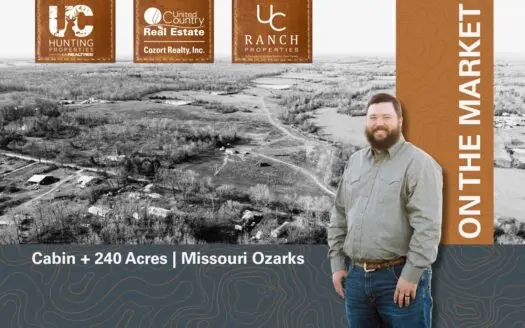 Prime Hunting Land | 240 Acres + Cabin | Missouri Ozarks