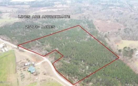 25.7 Acres for Sale in Smith County, Mississippi