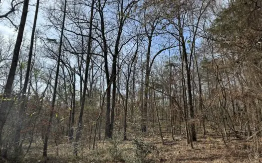 East Texas Hunting/Recreational Tract For Sale