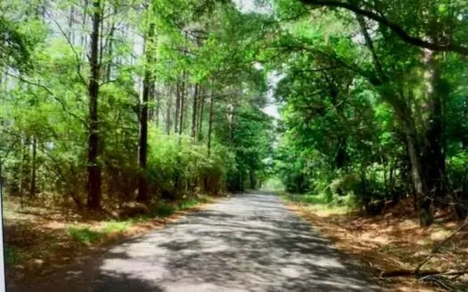 22.8 Acres near Homochitto National Forest and Lake Okhissa