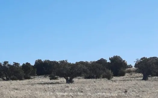 Gorgeous 37 acre off grid Northern AZ parcel