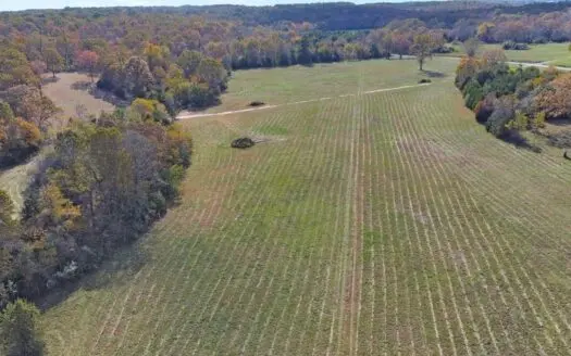 Vacant Land, Mixture of Valley Land & Woods in West Plains